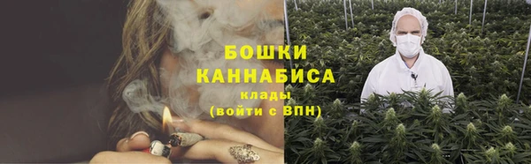 амф Аркадак