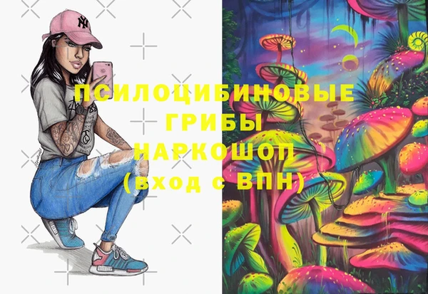apvp Арсеньев